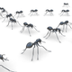 Illustration for article titled How Studying Ant Behavior Can Make Social Networks Better